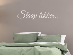 Muursticker "Slaap lekker.."